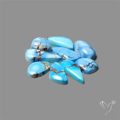 Rare Golden Hill Turquoise Smalls Lot
