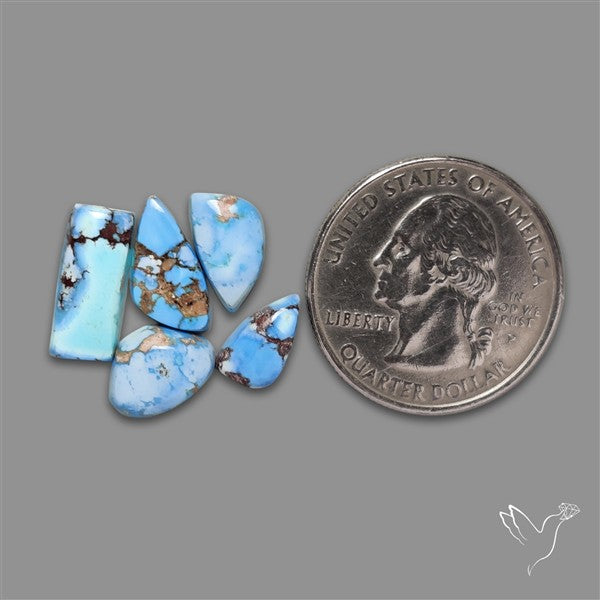 Rare Golden Hill Turquoise Smalls Lot