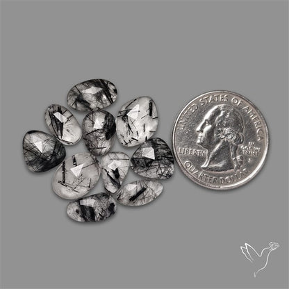 Rose Cut Black Tourmalinated Quartz Lot