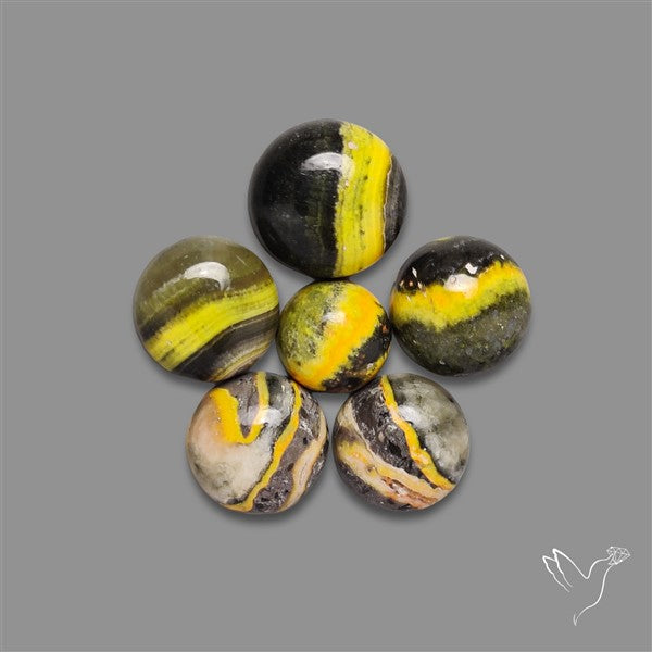 Bumble Bee Jasper Rounds Lot