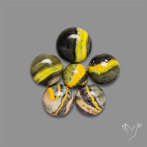 Bumble Bee Jasper Rounds Lot