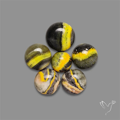 Bumble Bee Jasper Rounds Lot