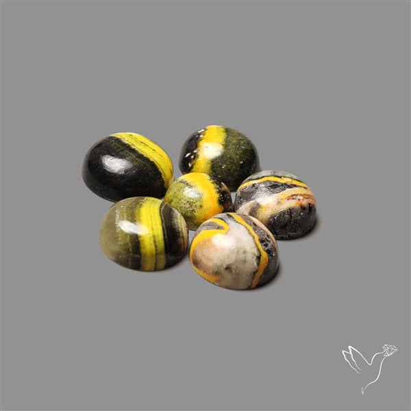 Bumble Bee Jasper Rounds Lot