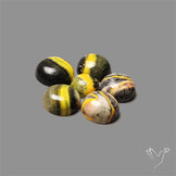 Bumble Bee Jasper Rounds Lot