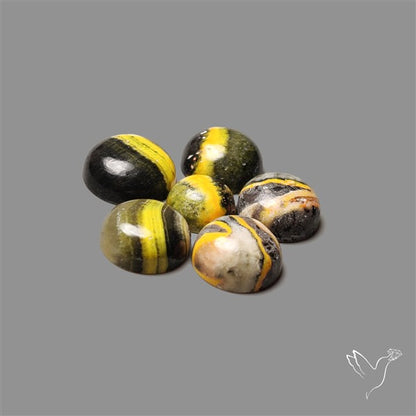 Bumble Bee Jasper Rounds Lot