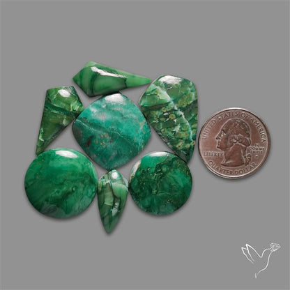 Larsonite Gary Green Jasper Cabochons Lot