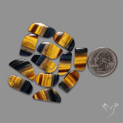 Bicolor Tiger Eye Cabochons Lot