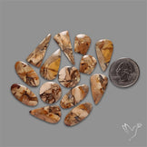 Thunder Egg Agate Pairs Bulk Lot