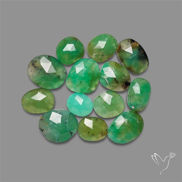 Rose Cut Gemmy Green Chrysoprase Lot