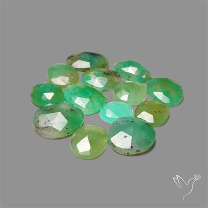Rose Cut Gemmy Green Chrysoprase Lot