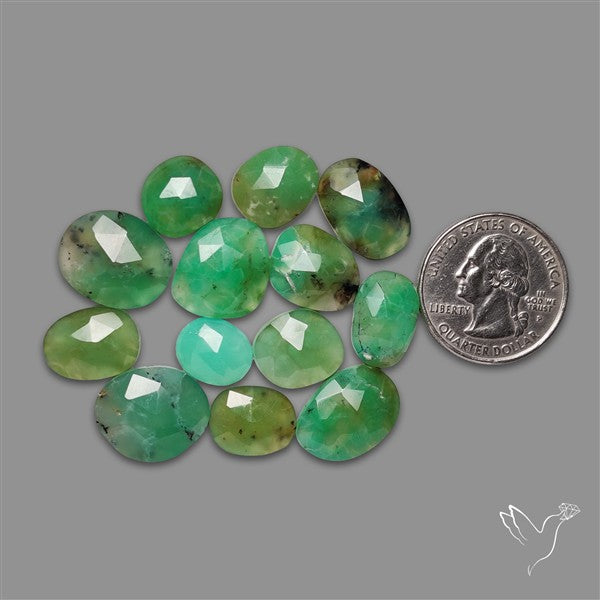 Rose Cut Gemmy Green Chrysoprase Lot