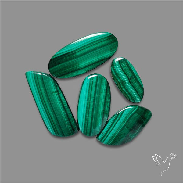 Malachite with Chattoyancy Cabochons Lot
