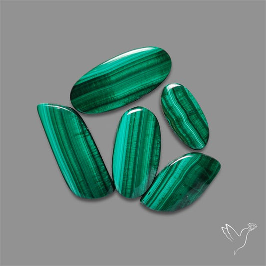 Malachite with Chattoyancy Cabochons Lot