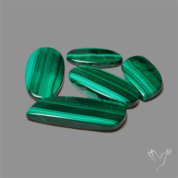 Malachite with Chattoyancy Cabochons Lot