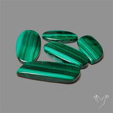 Malachite with Chattoyancy Cabochons Lot
