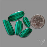 Malachite with Chattoyancy Cabochons Lot