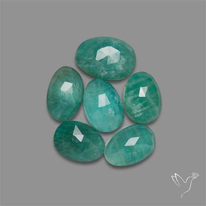 Rose Cut Gemmy Peruvian Amazonites Lot