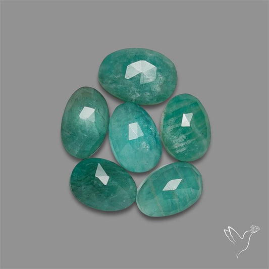 Rose Cut Gemmy Peruvian Amazonites Lot