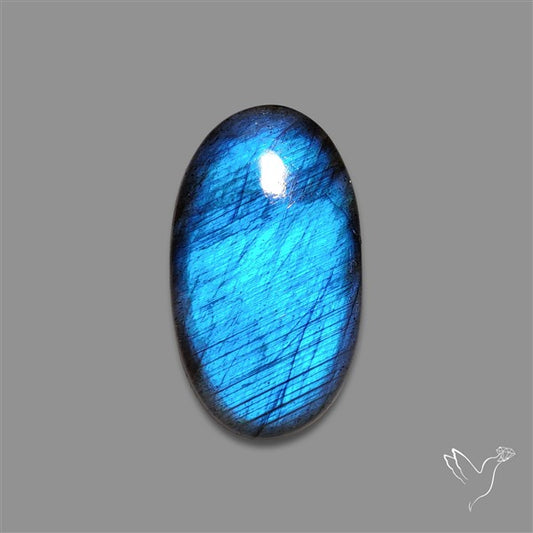 Deep Blue Labradorite Cabochon
