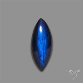 Deep Blue Labradorite Cabochon