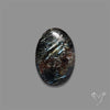 Arfvedsonite Cabochon