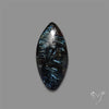 Arfvedsonite Cabochon