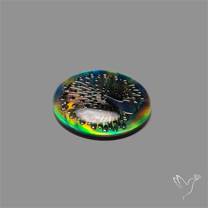 Gilded Peacock inlay in Aurora Opal