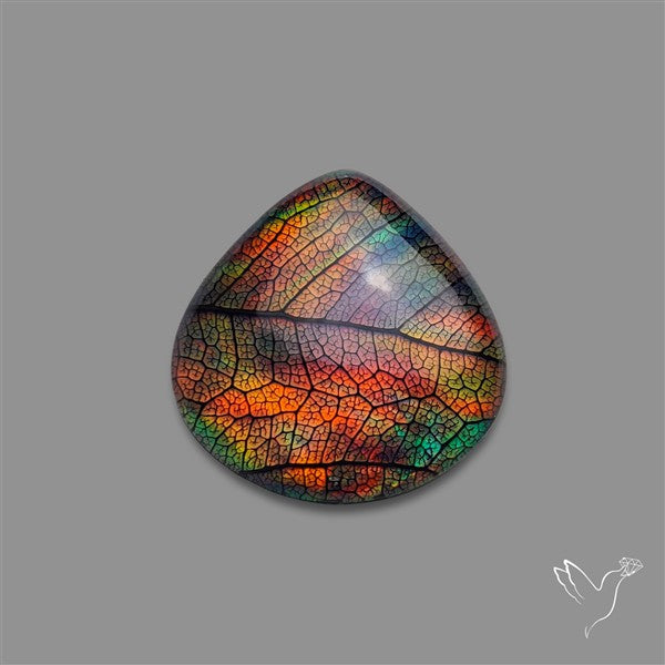 Aurora Opal Leaf Skeleton Inlay Doublet with Quartz