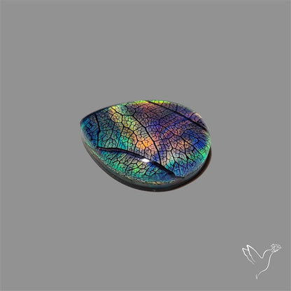 Aurora Opal Leaf Skeleton Inlay Doublet with Quartz