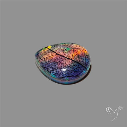 Aurora Opal Leaf Skeleton Inlay Doublet with Quartz