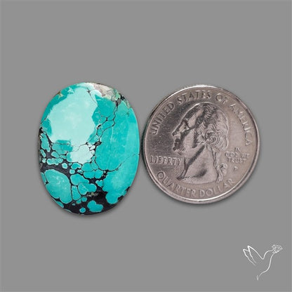 Selected Hubei Turquoise Cabochon
