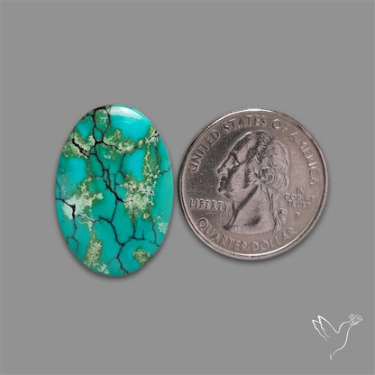 Selected Hubei Turquoise Cabochon