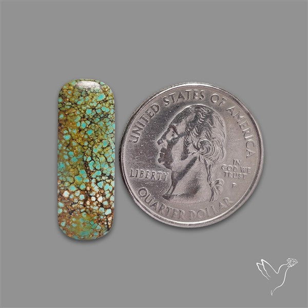Selected Hubei Turquoise Cabochon