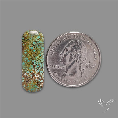 Selected Hubei Turquoise Cabochon