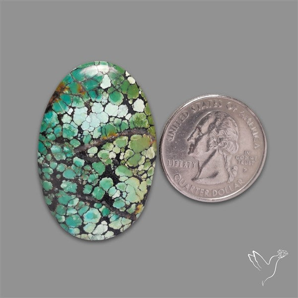 Selected Hubei Turquoise Cabochon