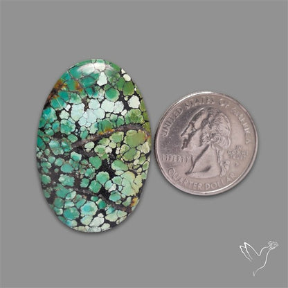 Selected Hubei Turquoise Cabochon