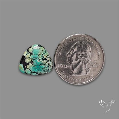 Selected Hubei Turquoise Cabochon