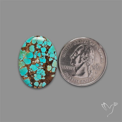 Selected Hubei Turquoise Cabochon