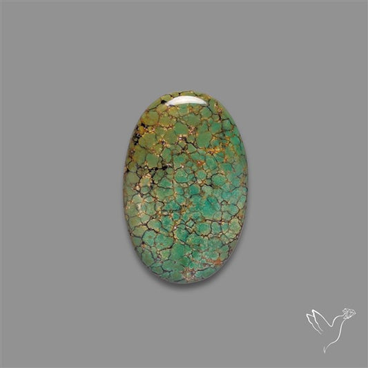 Selected Hubei Turquoise Cabochon