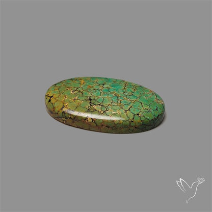 Selected Hubei Turquoise Cabochon