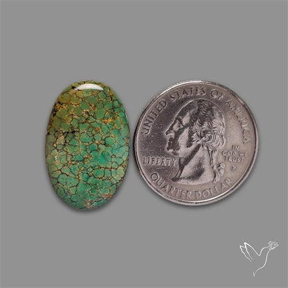 Selected Hubei Turquoise Cabochon