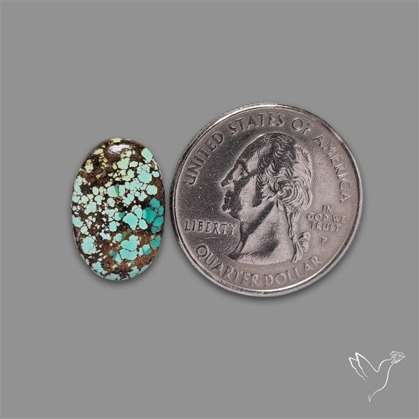Selected Hubei Turquoise Cabochon