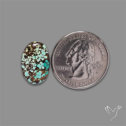 Selected Hubei Turquoise Cabochon