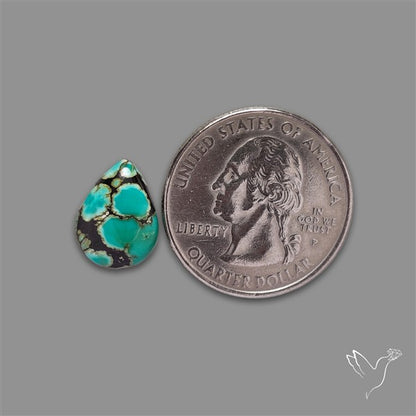 Selected Hubei Turquoise Cabochon