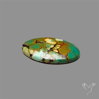 Selected Hubei Turquoise Cabochon