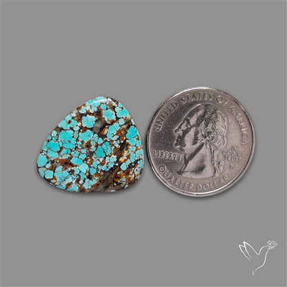 Selected Hubei Turquoise Cabochon