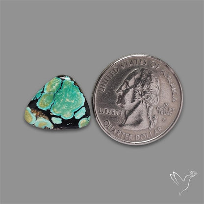Selected Hubei Turquoise Cabochon