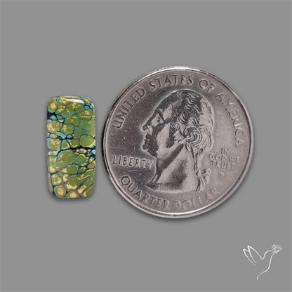 Selected Hubei Turquoise Cabochon