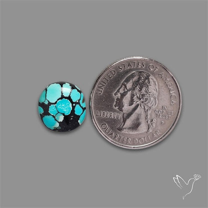 Selected Hubei Turquoise Cabochon