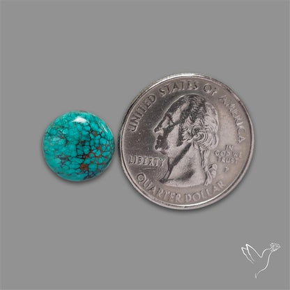 Selected Hubei Turquoise Cabochon